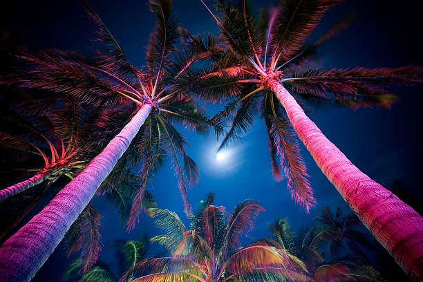 miami